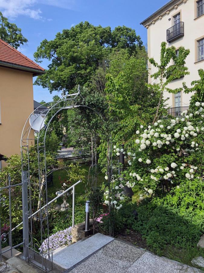 Amselgarten Пірна Екстер'єр фото